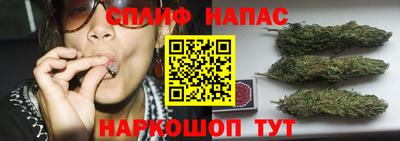 мдпв Кимры