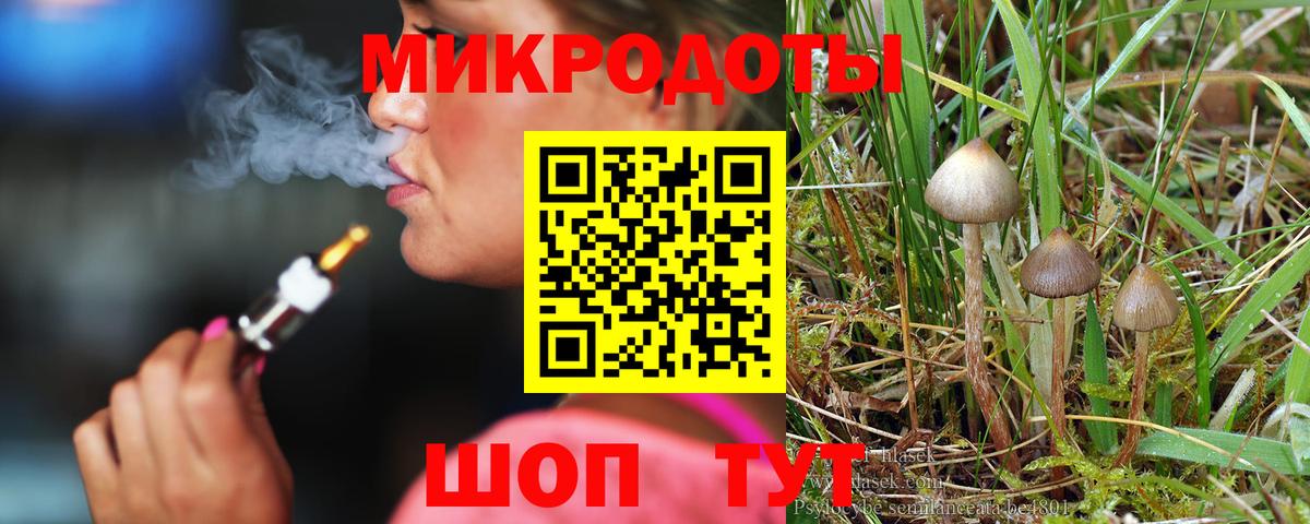 Галлюциногенные грибы GOLDEN TEACHER  Галлюциногенные грибы прущие грибы  Вход с VPN  Гай 